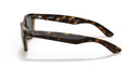 RAYBAN 075859