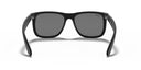 RAYBAN 072113