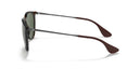 RAYBAN 073278