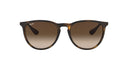 RAYBAN 069426