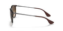 RAYBAN 069426