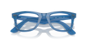RAYBAN 098799